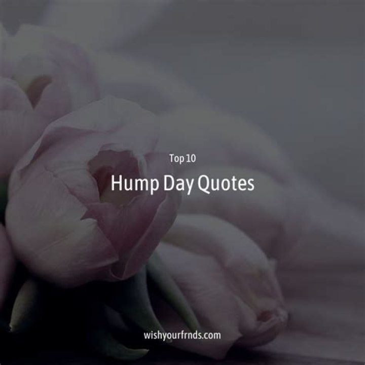 The Ultimate Collection Of Inspirational Hump Day Quotes And Sayings